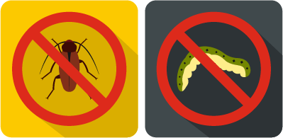 destruire insectes